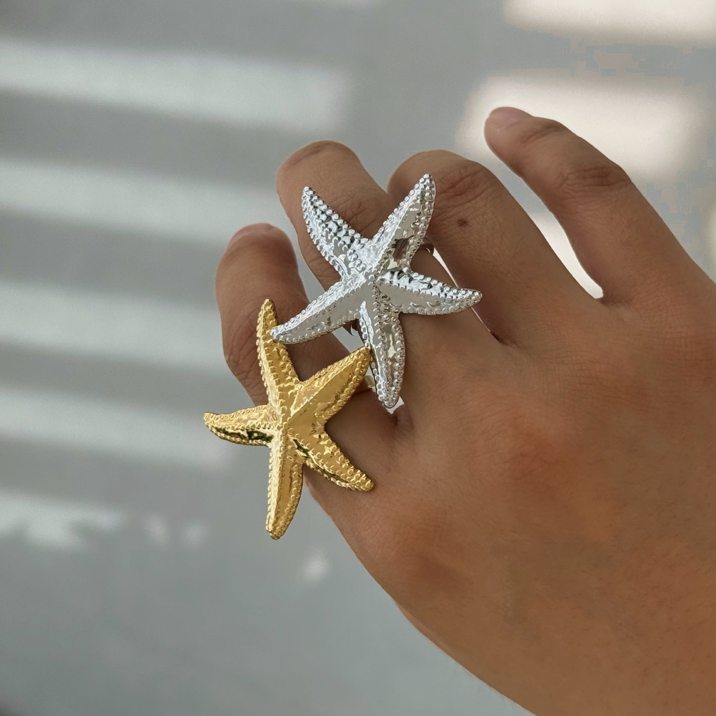 Big starfish and shell set