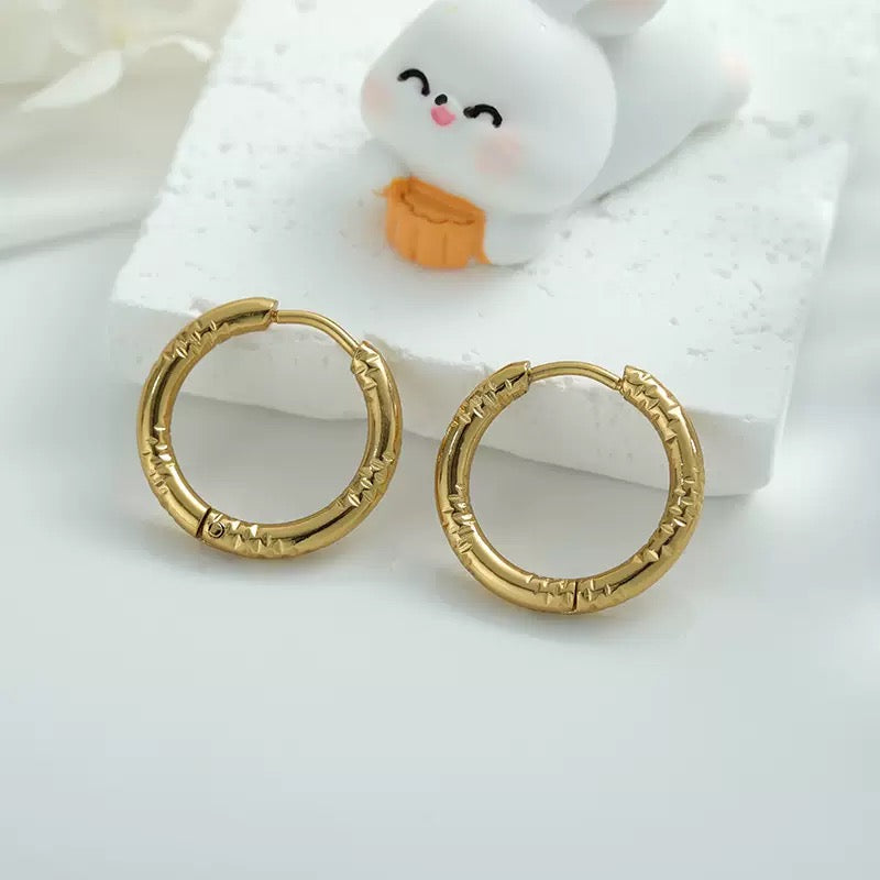 Heidi 2mm classic pattern hoops earrings