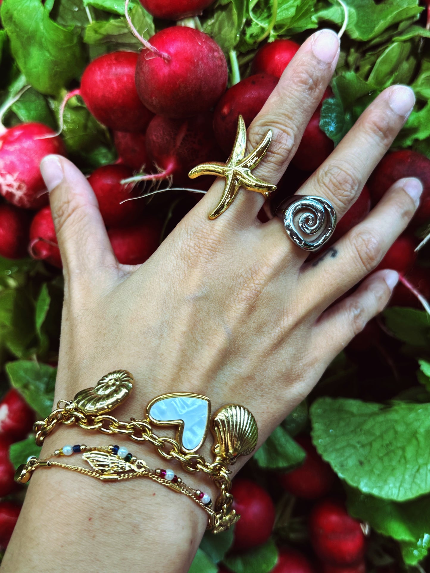 Athena Bondi sea star collection