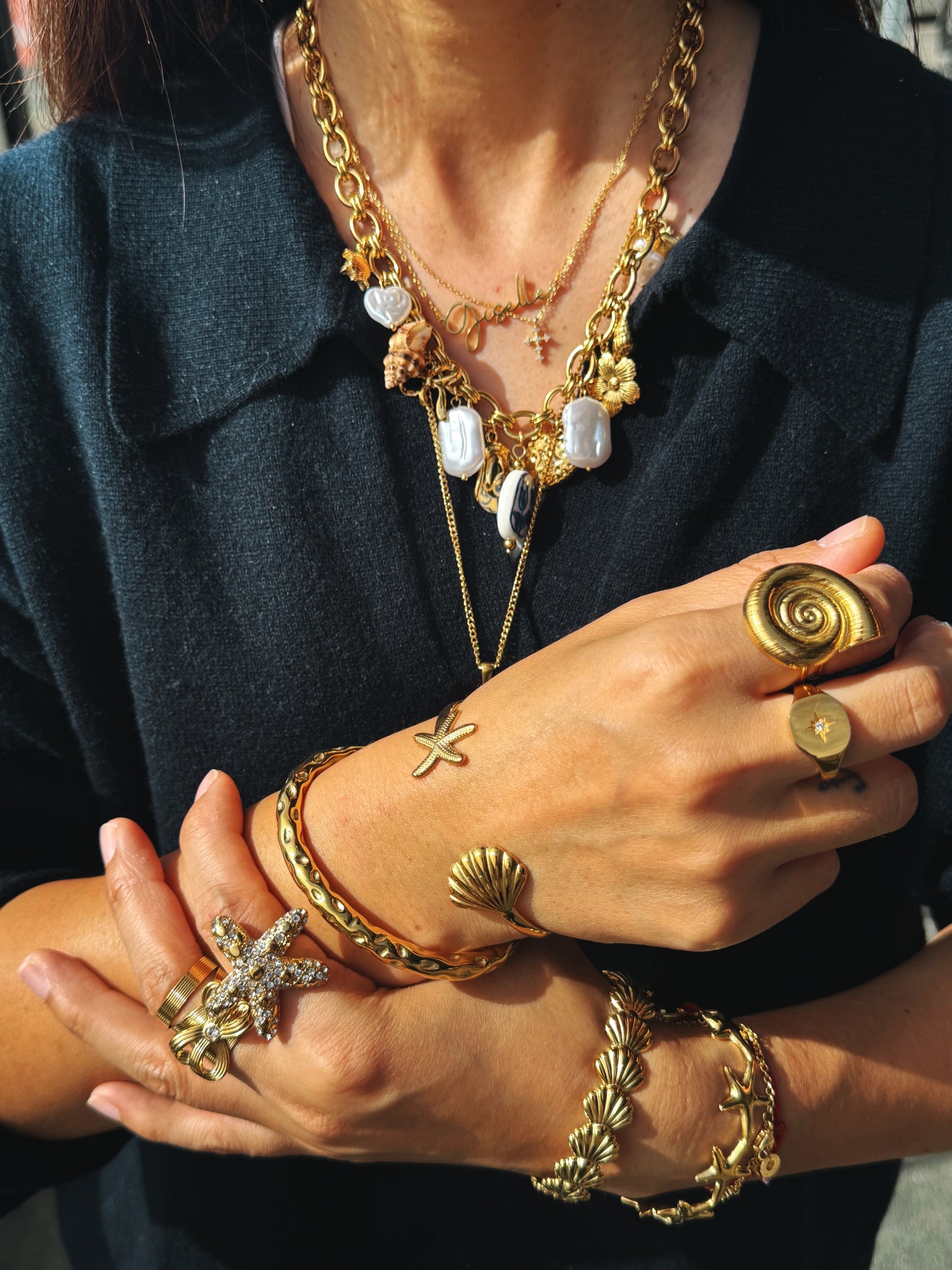 Bondi starfish and shell collection