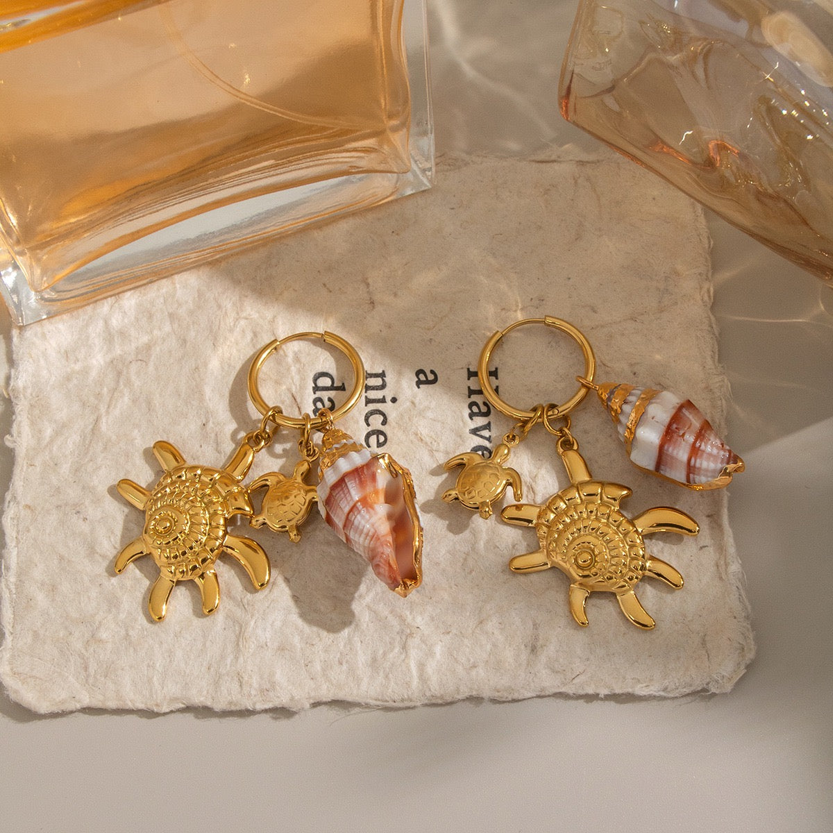 Natural shell starfish set