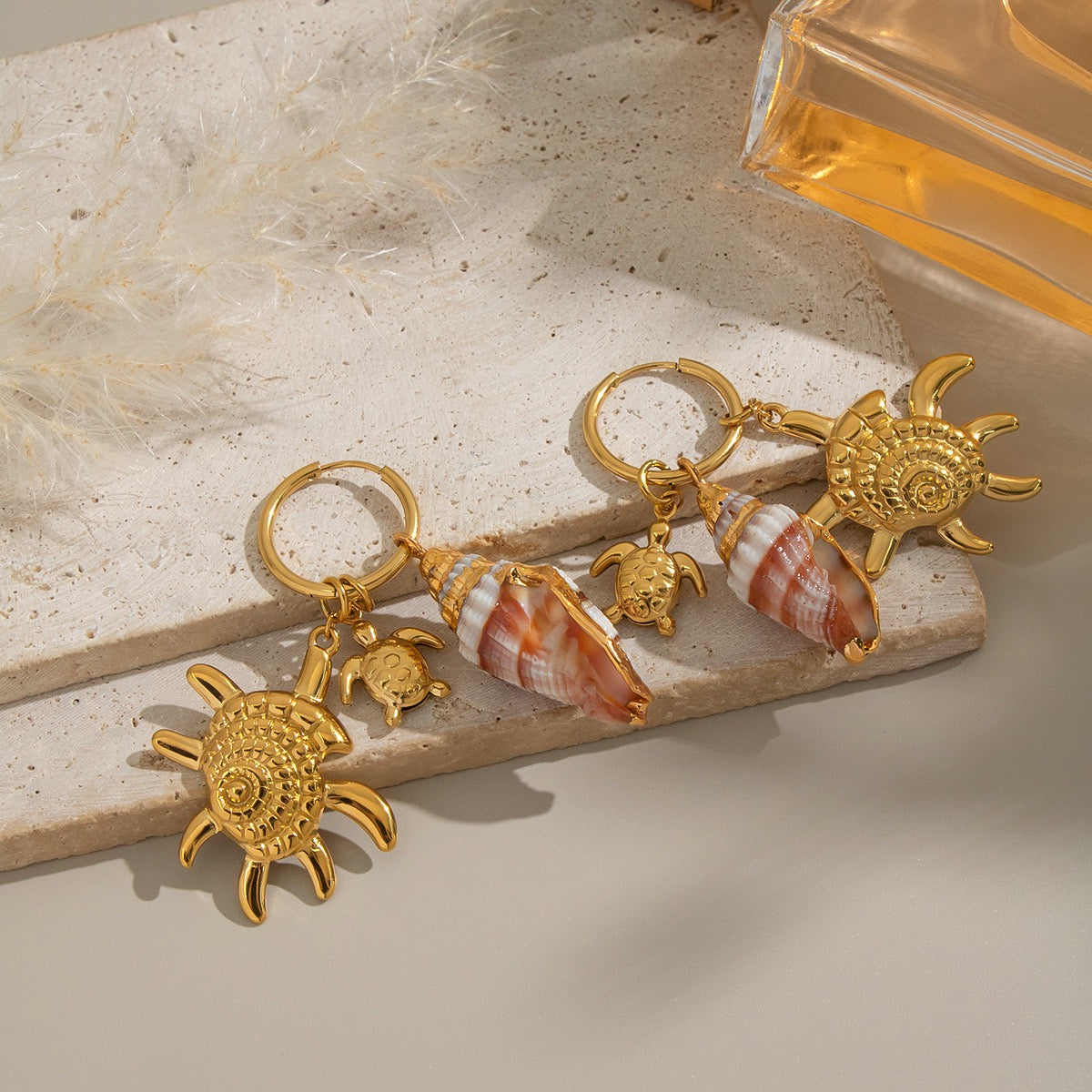 Natural shell starfish set