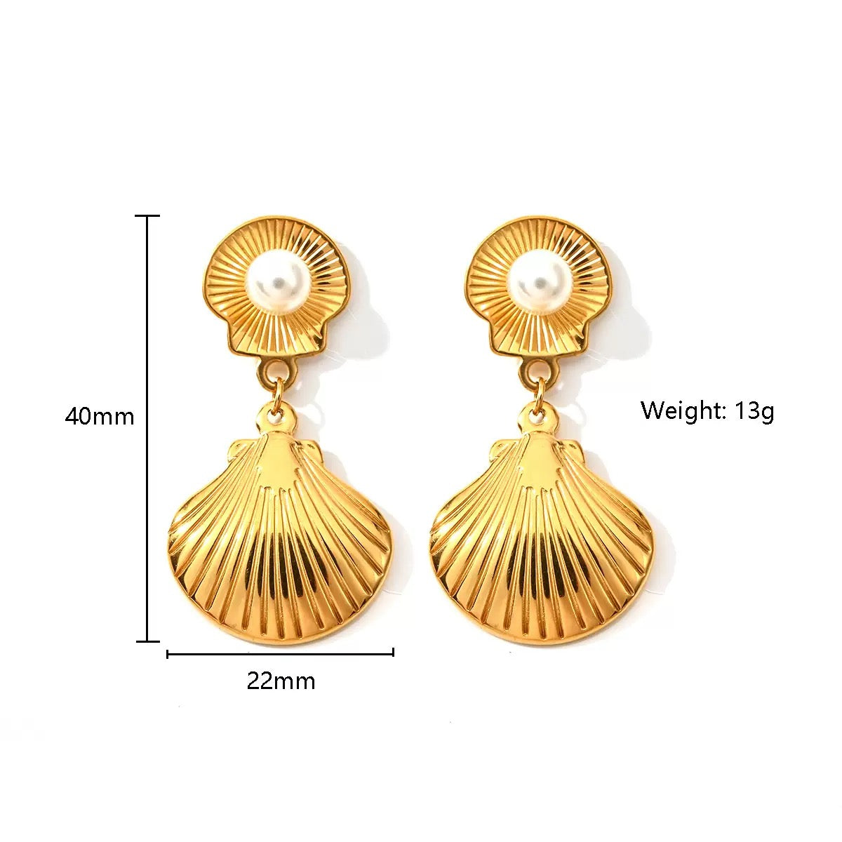 Double shells earrings