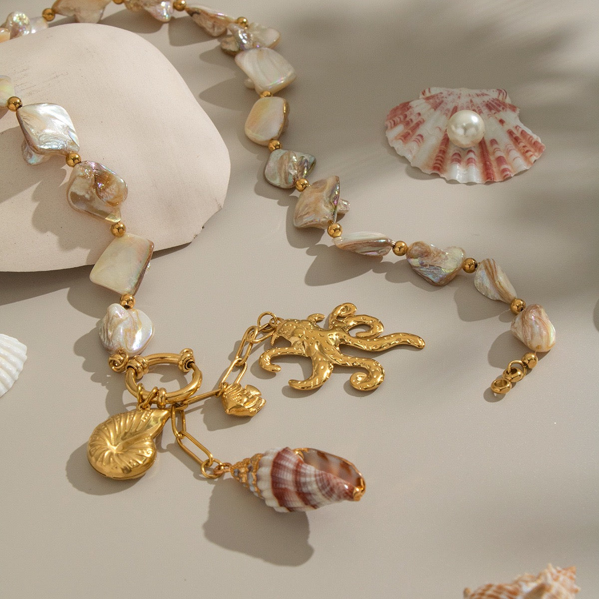 Natural shell starfish set