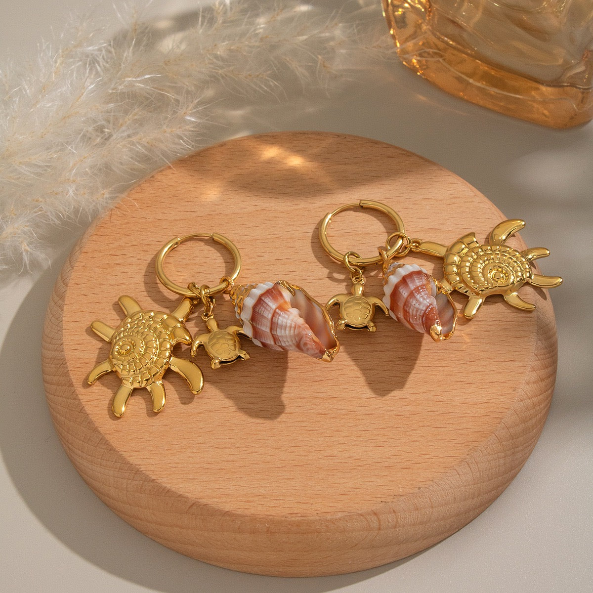 Natural shell starfish set