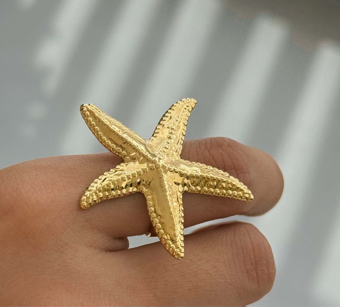 Big starfish and shell set