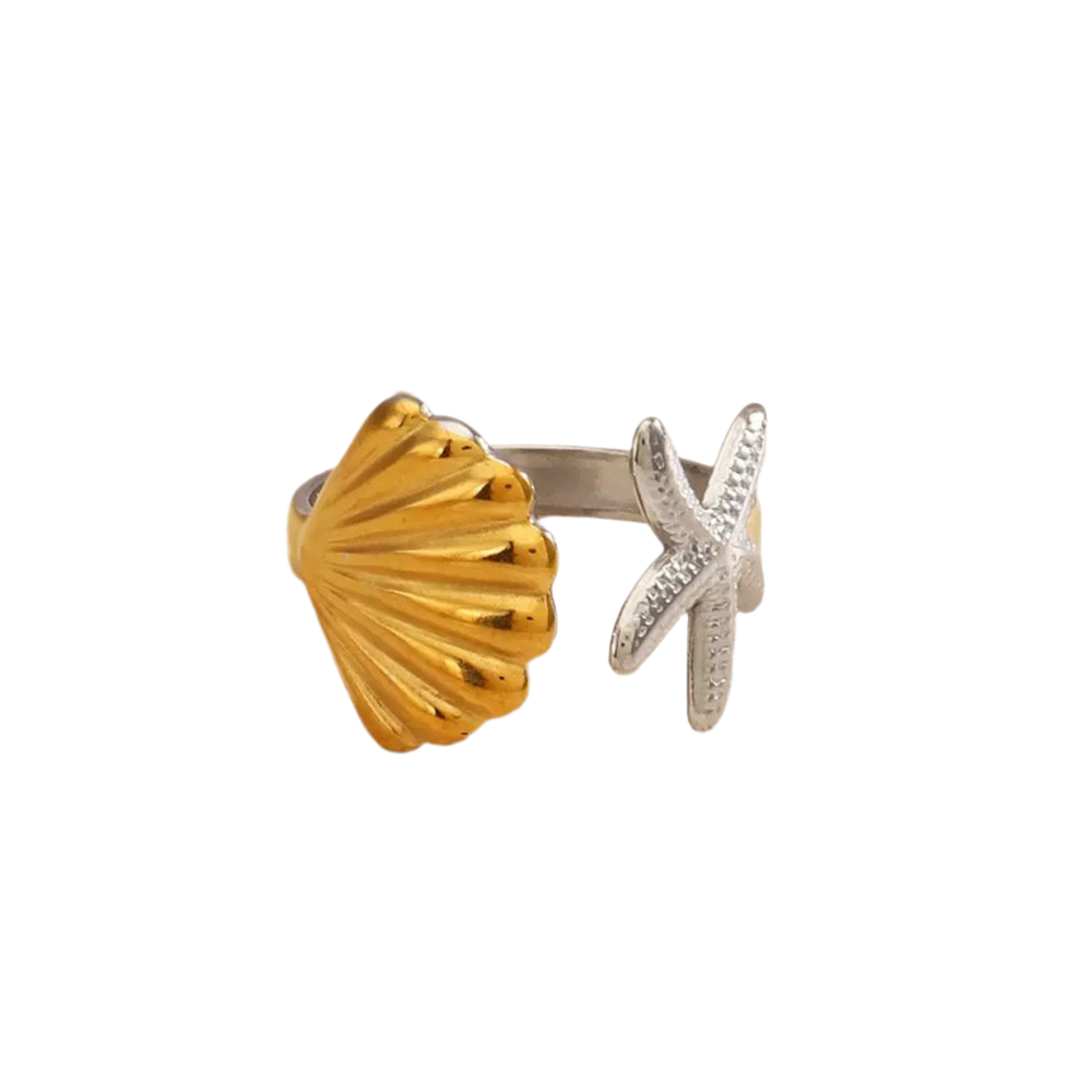 Bondi starfish and shell collection