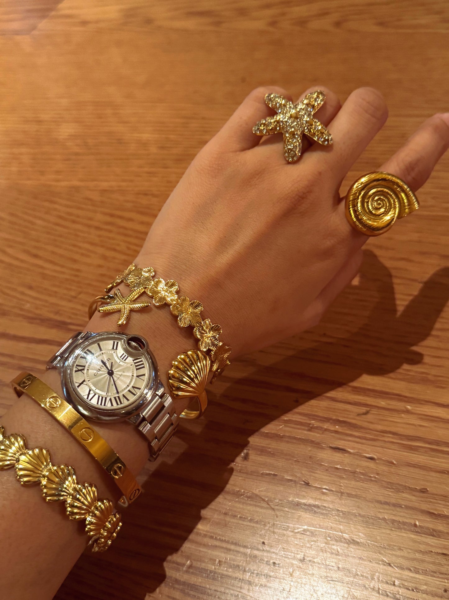 Bondi starfish and shell collection