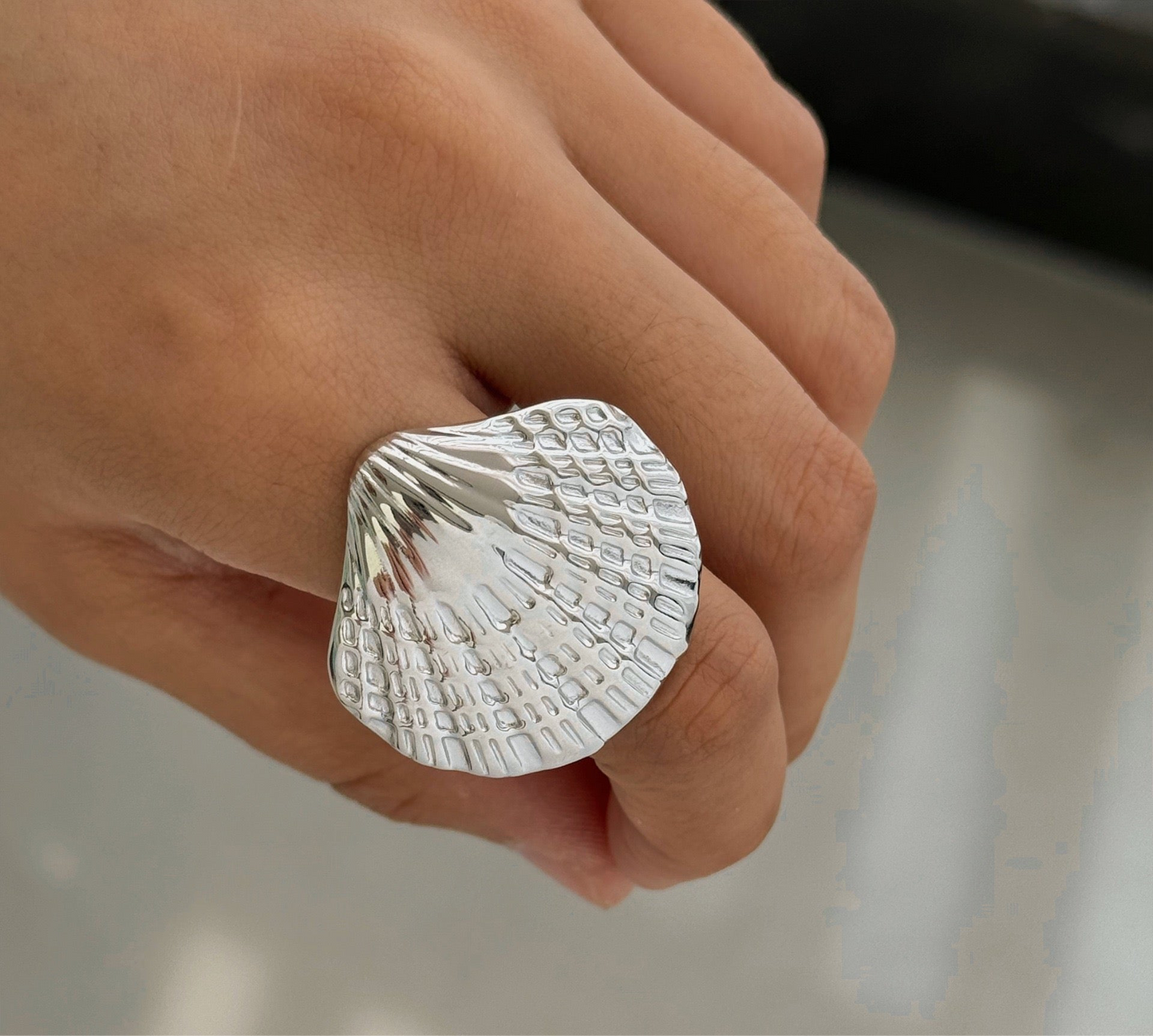 Big starfish and shell set