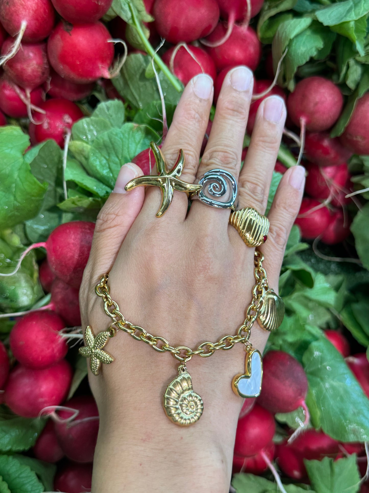 Athena Bondi sea star collection