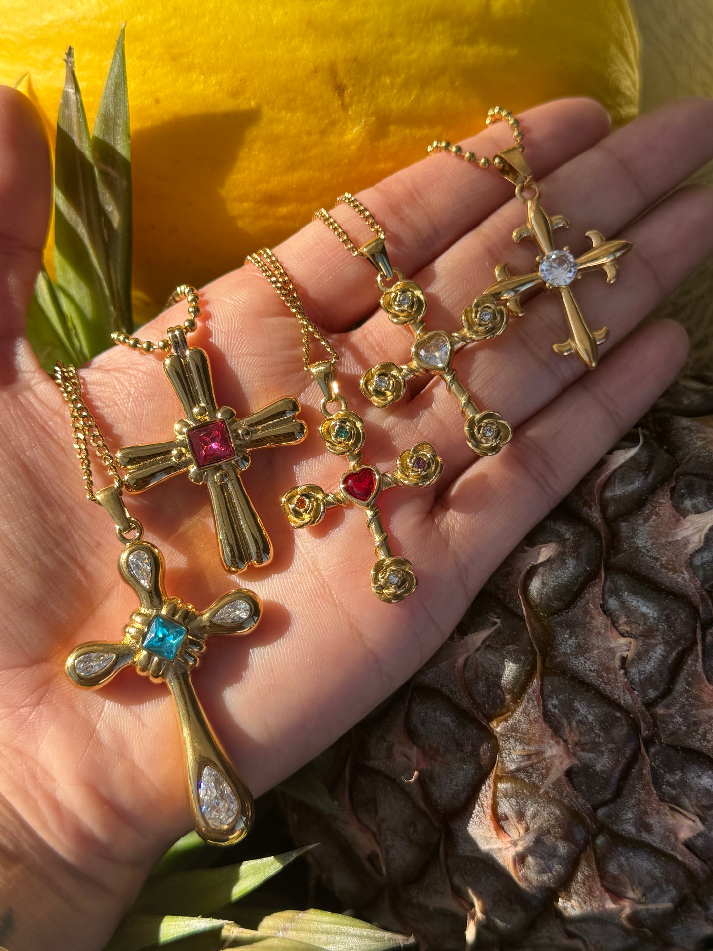 Akita Bondi cross collections