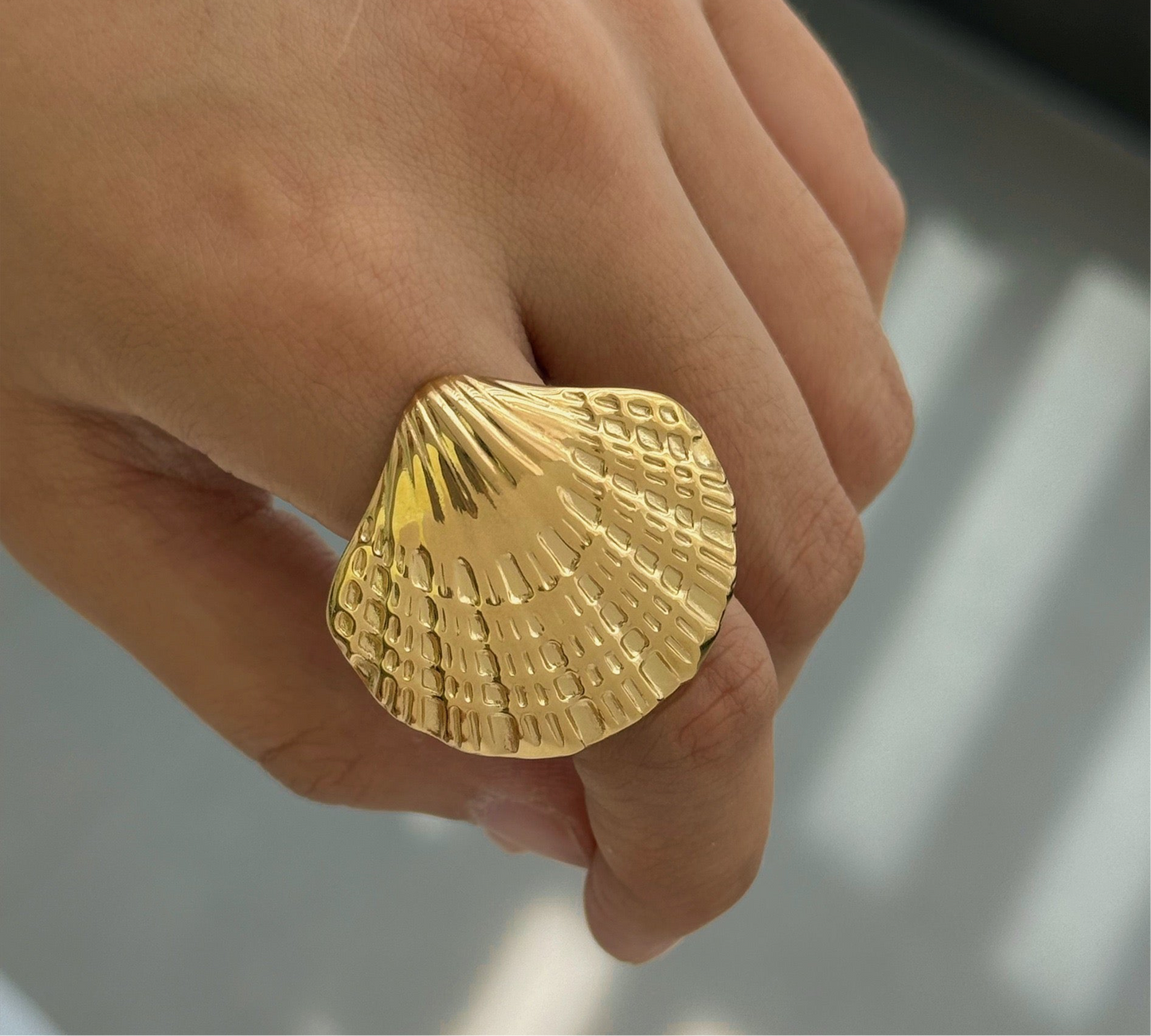 Big starfish and shell set