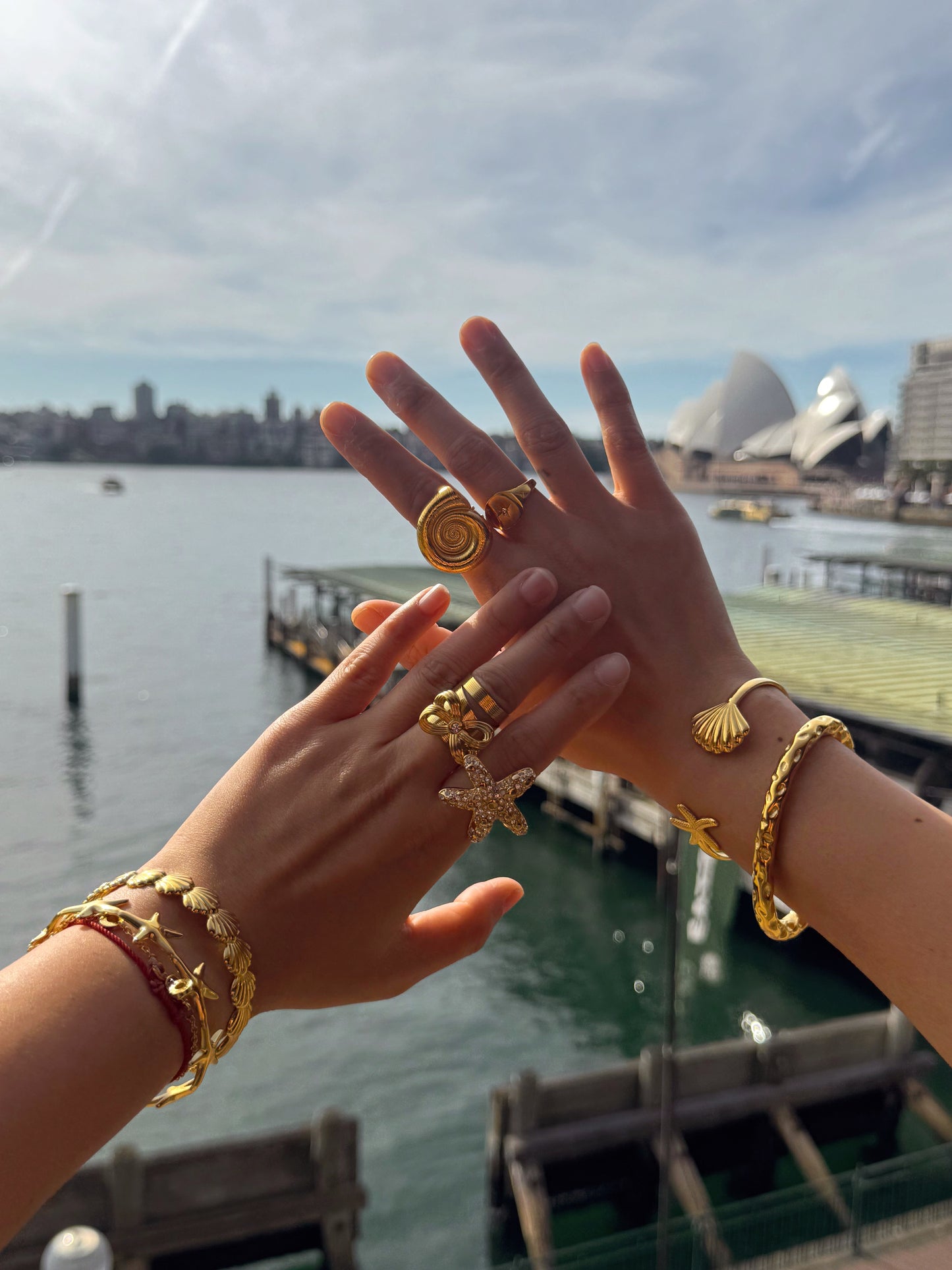 Bondi starfish and shell collection