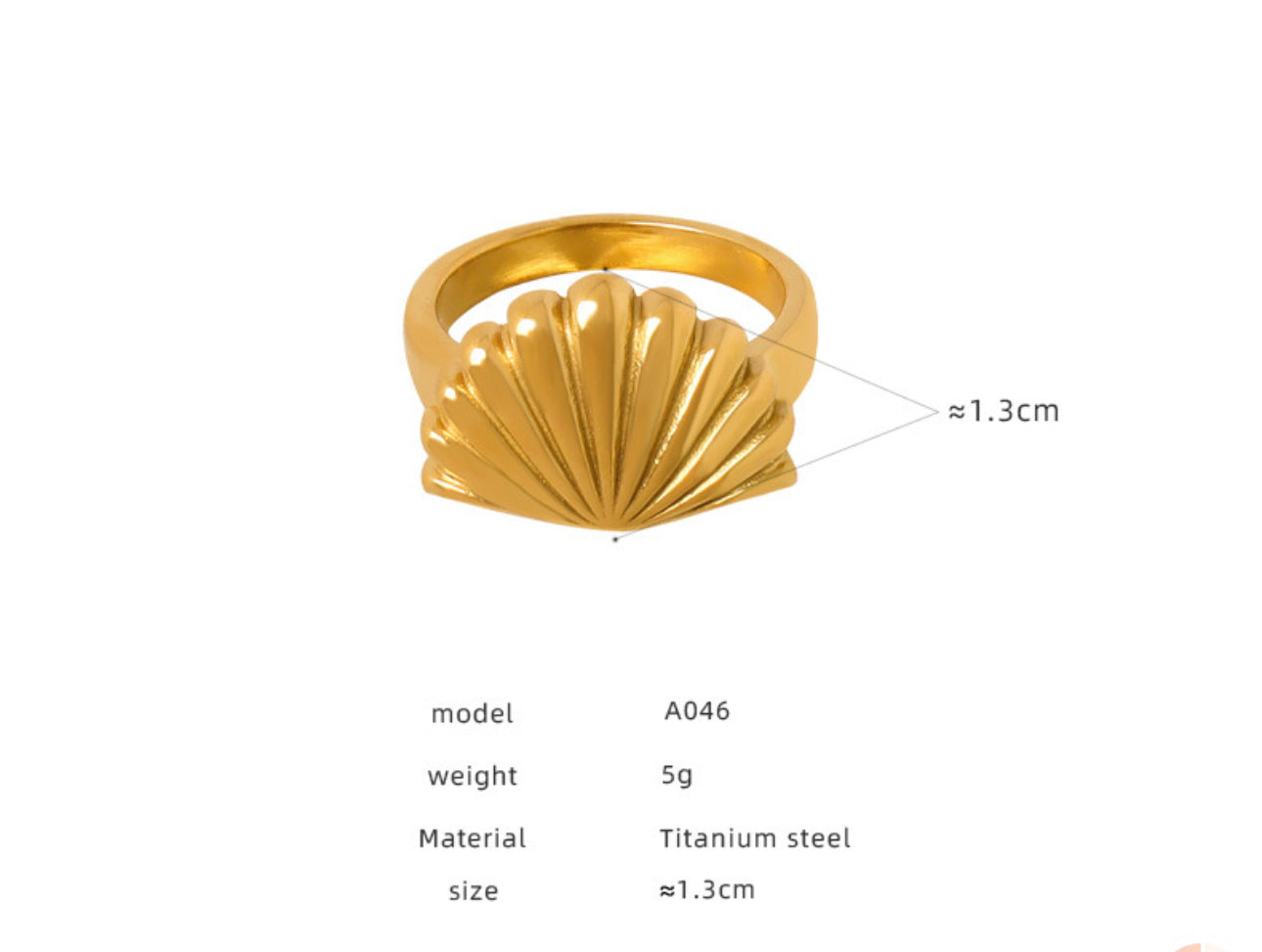 Bondi Emilia Big shell rings