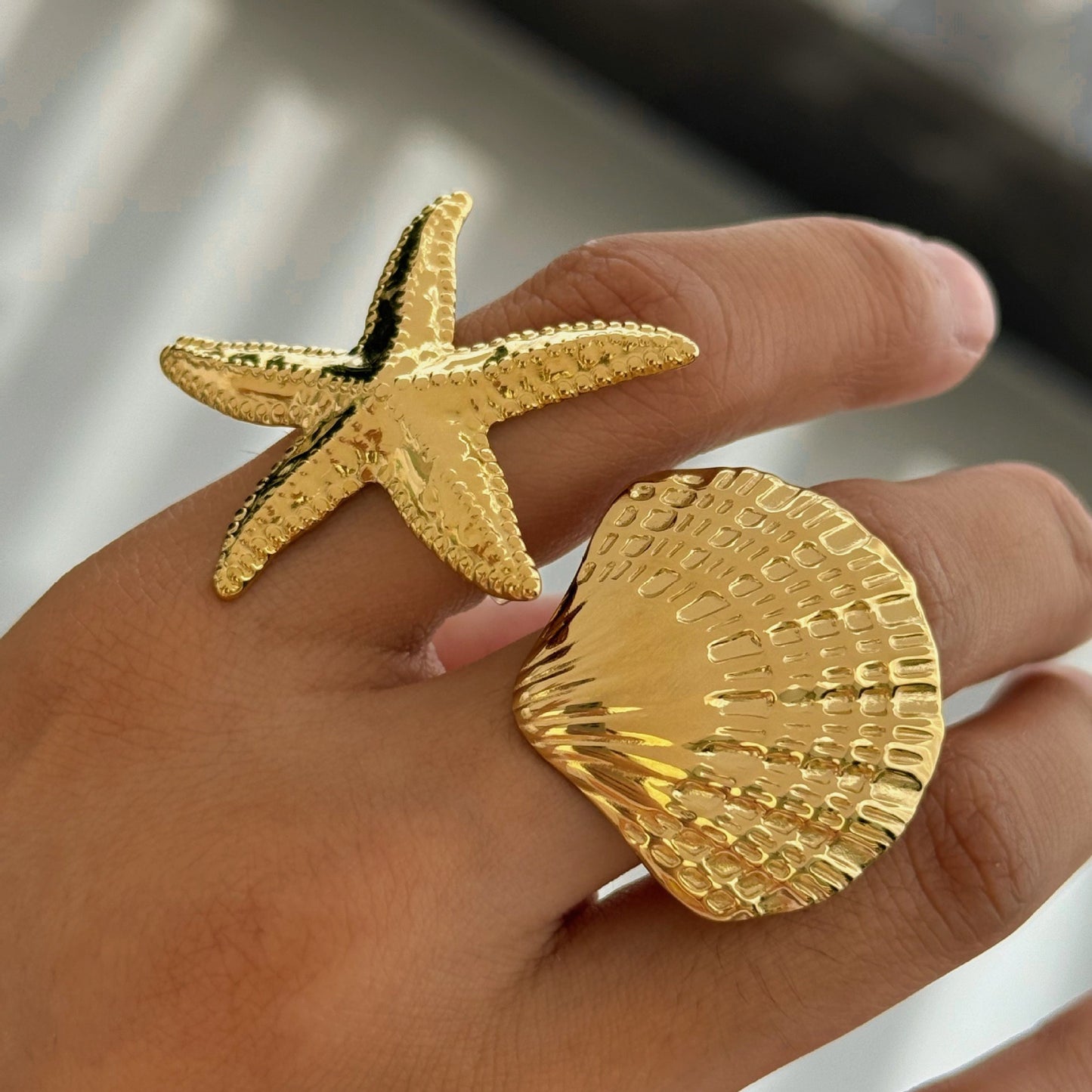 Big starfish and shell set