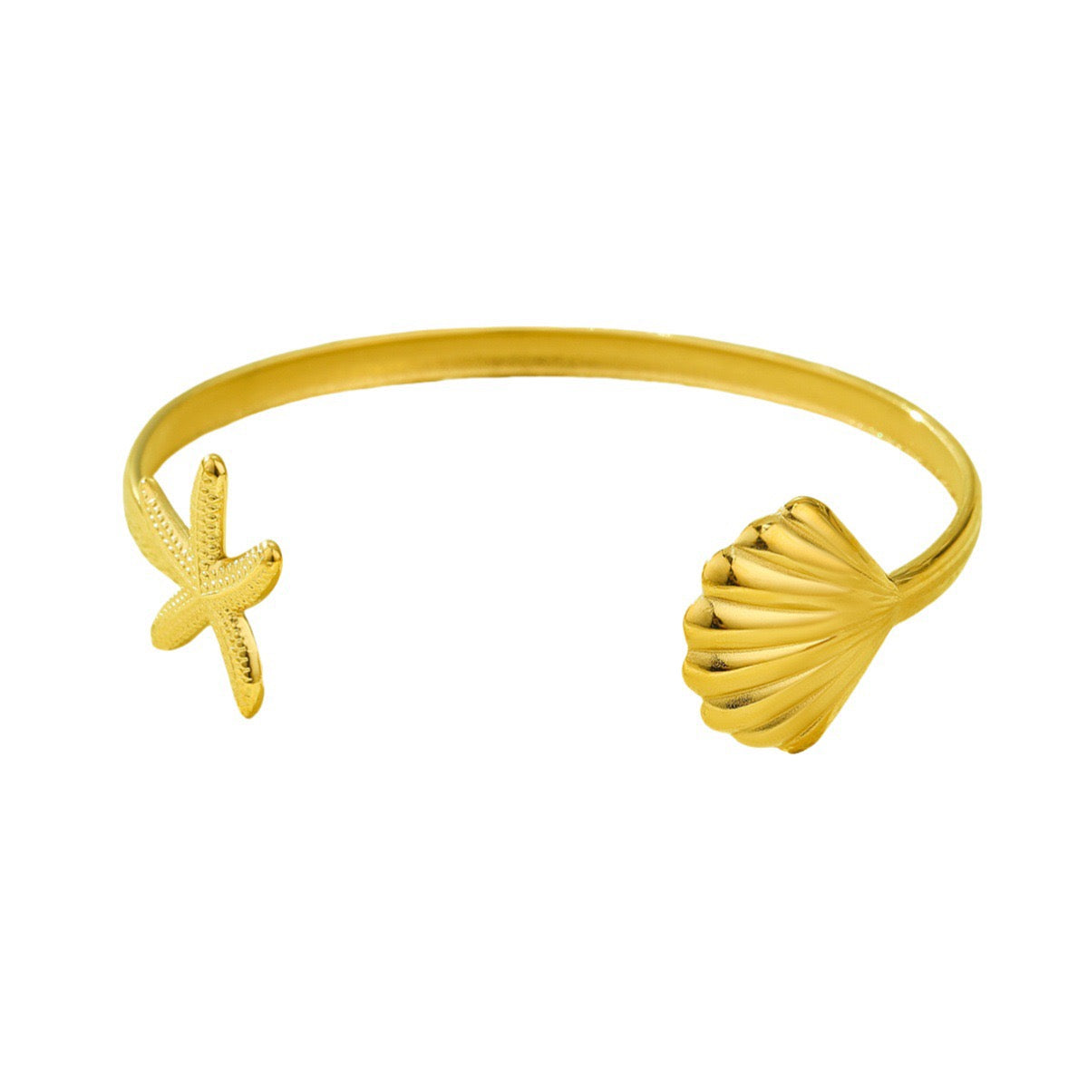 Bondi starfish and shell collection