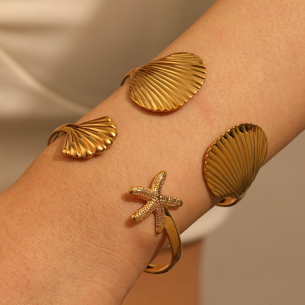 Bondi starfish and shell collection