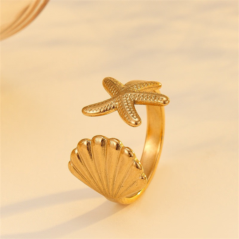 Bondi starfish and shell collection