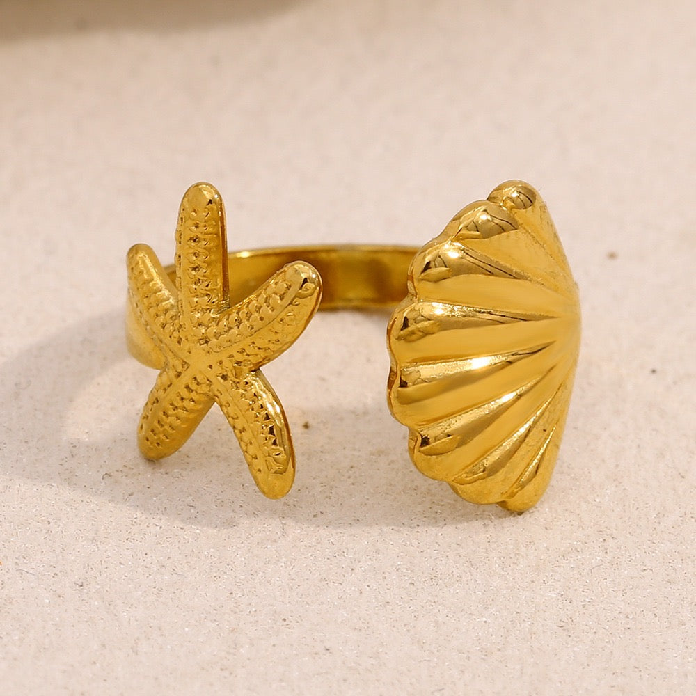 Bondi starfish and shell collection