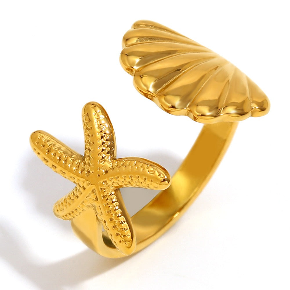 Bondi starfish and shell collection