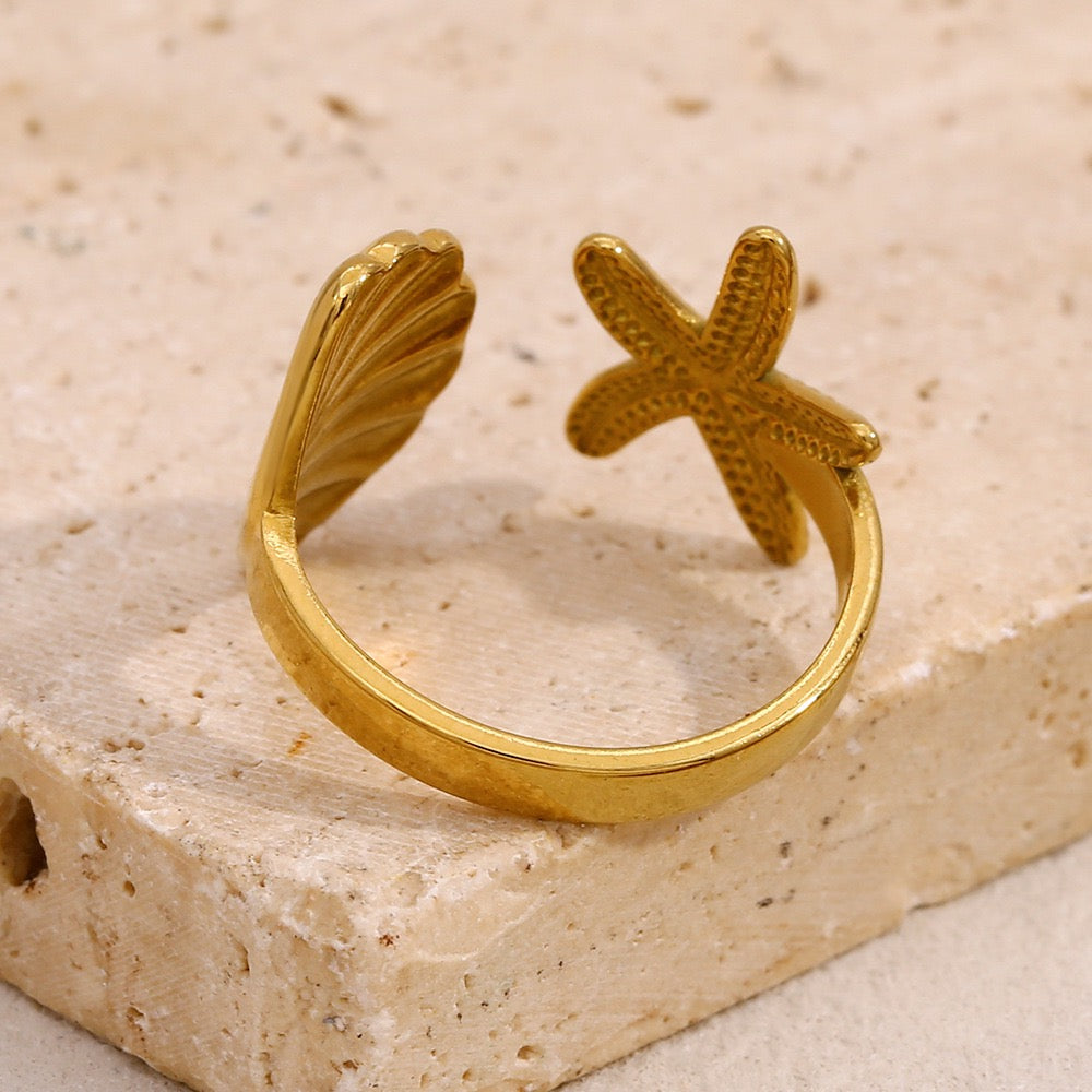 Bondi starfish and shell collection