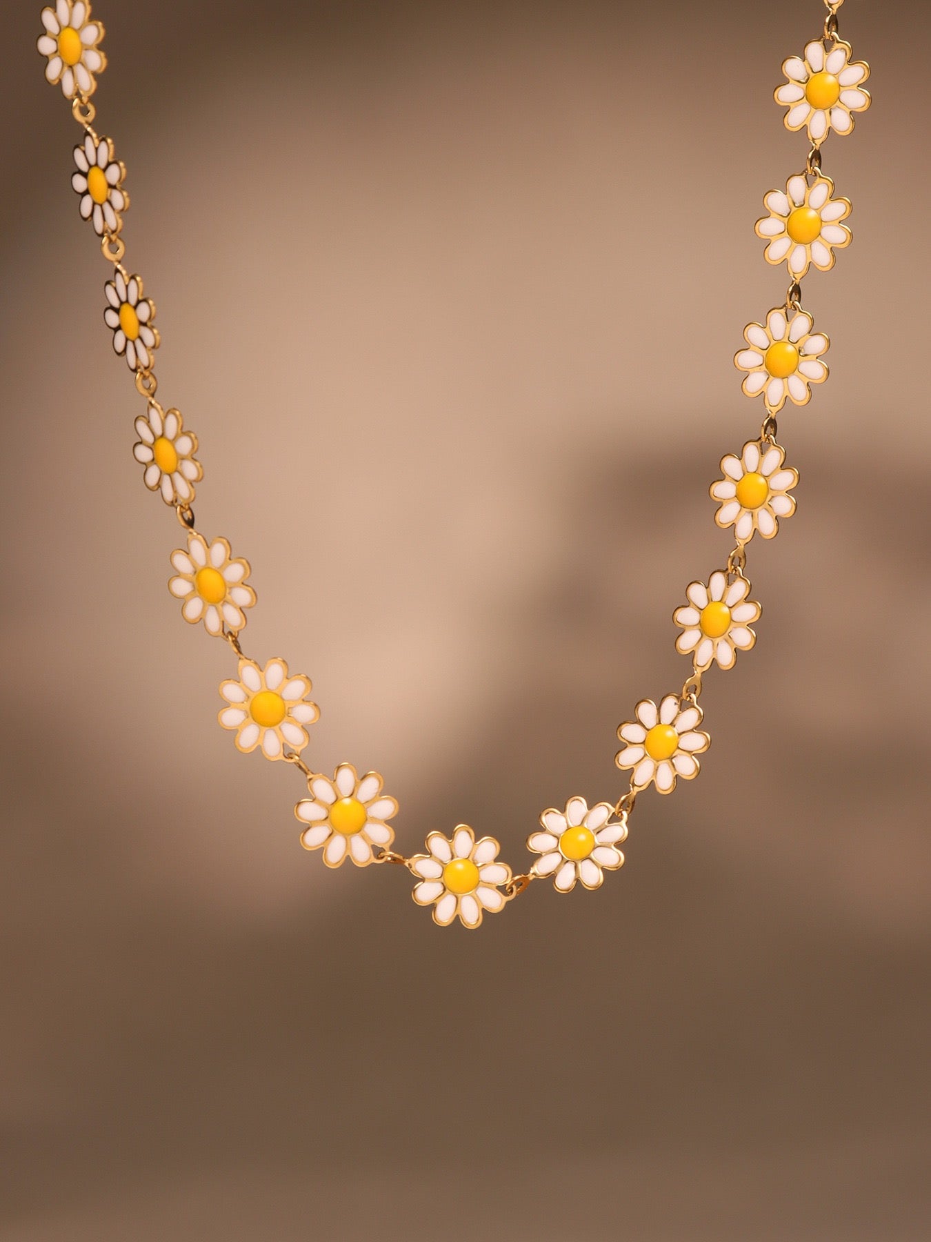 Little white daisy set