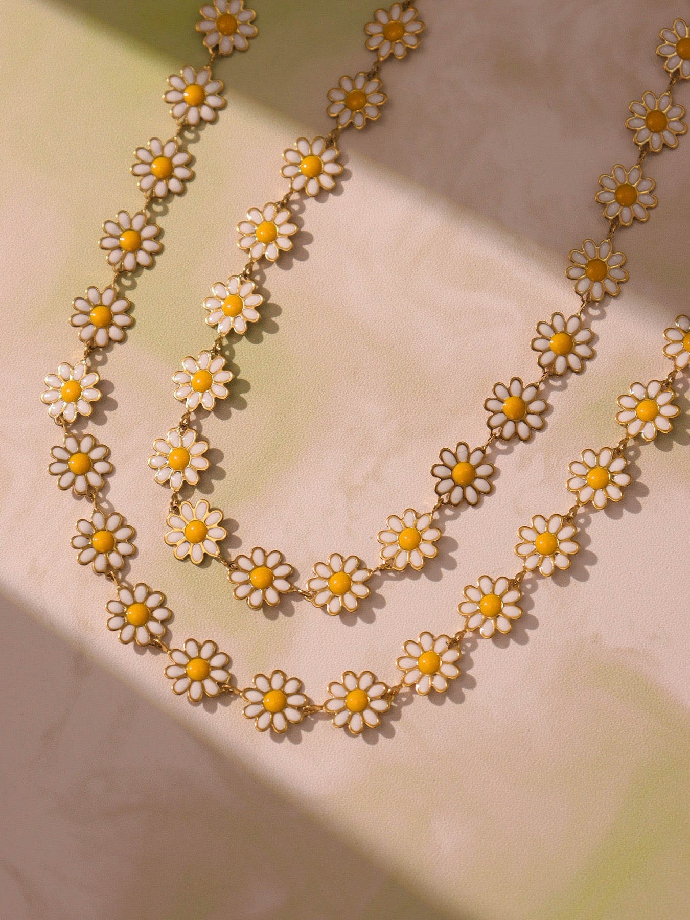 Little white daisy set