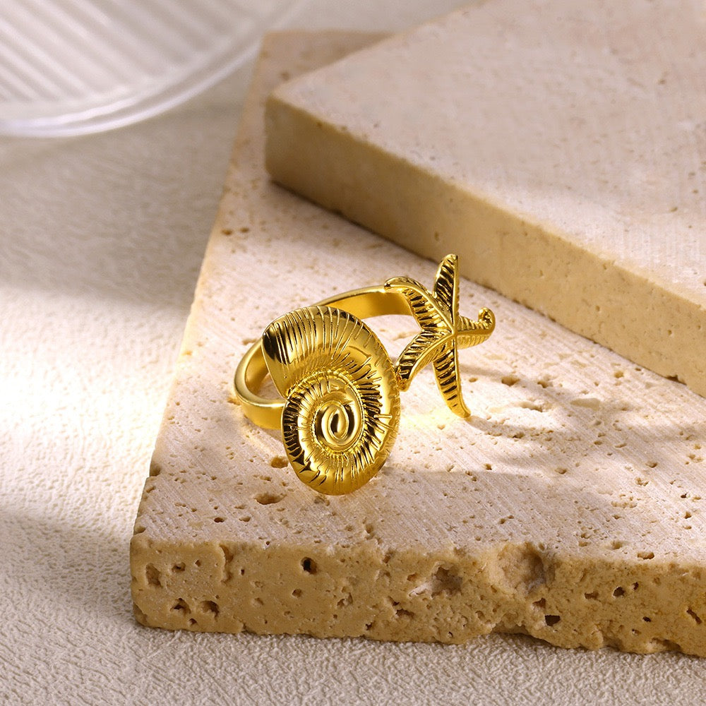 Starfish shell rings