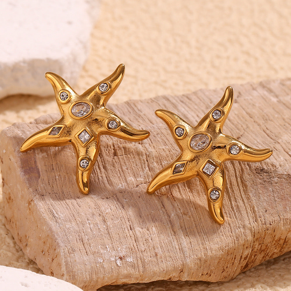 Ariel Bondi shinning star earrings