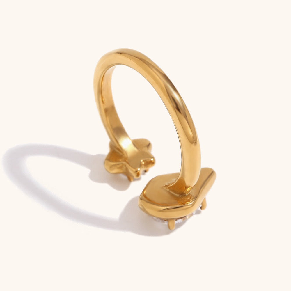 Dorren Double star rings