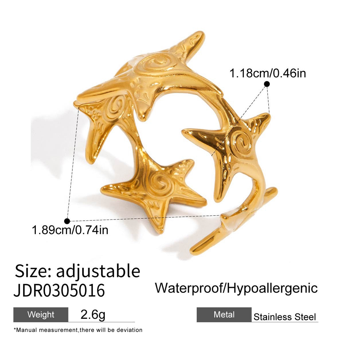 Bondi starfish and shell collection