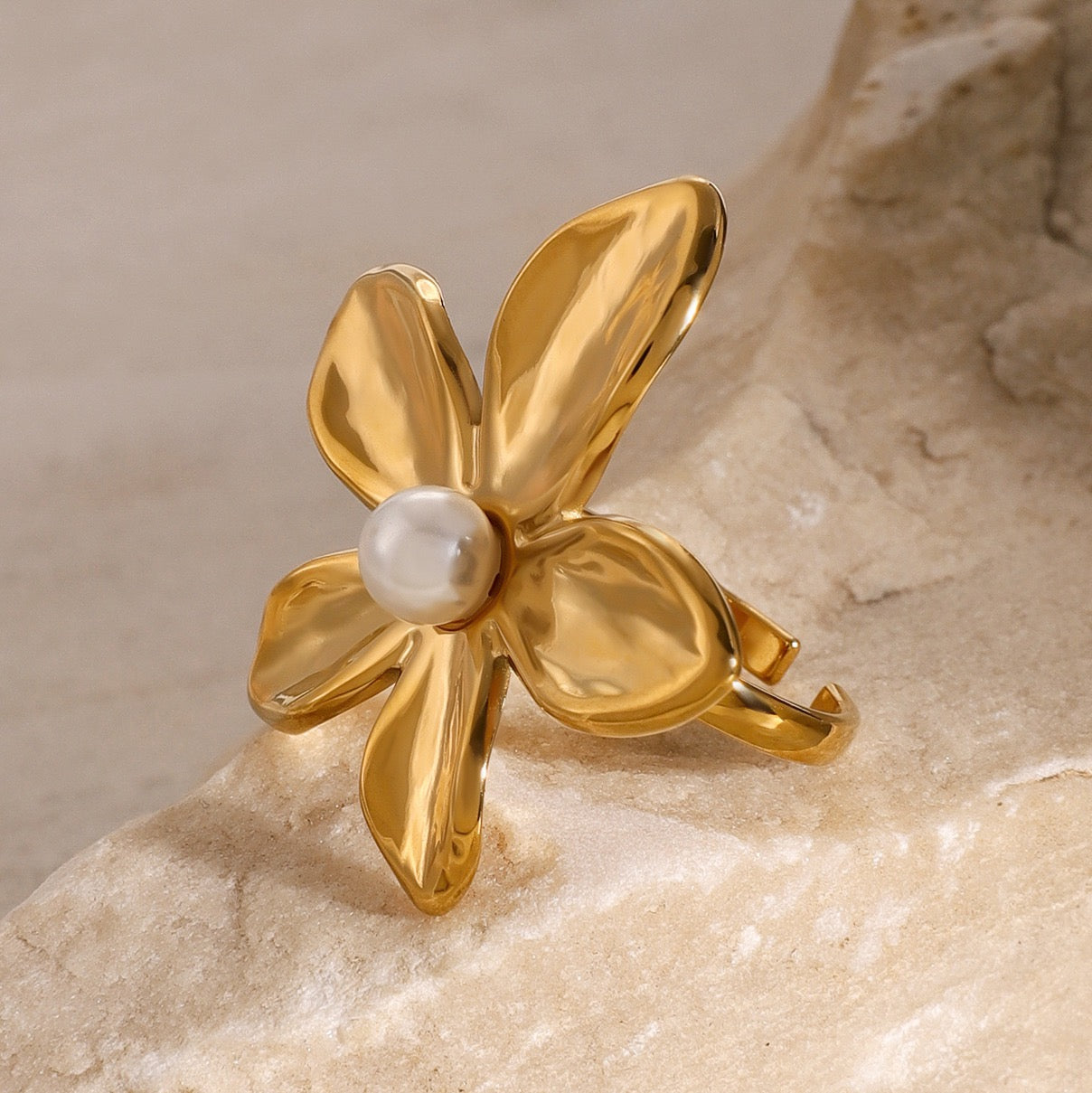 Chanelle Big dream rings