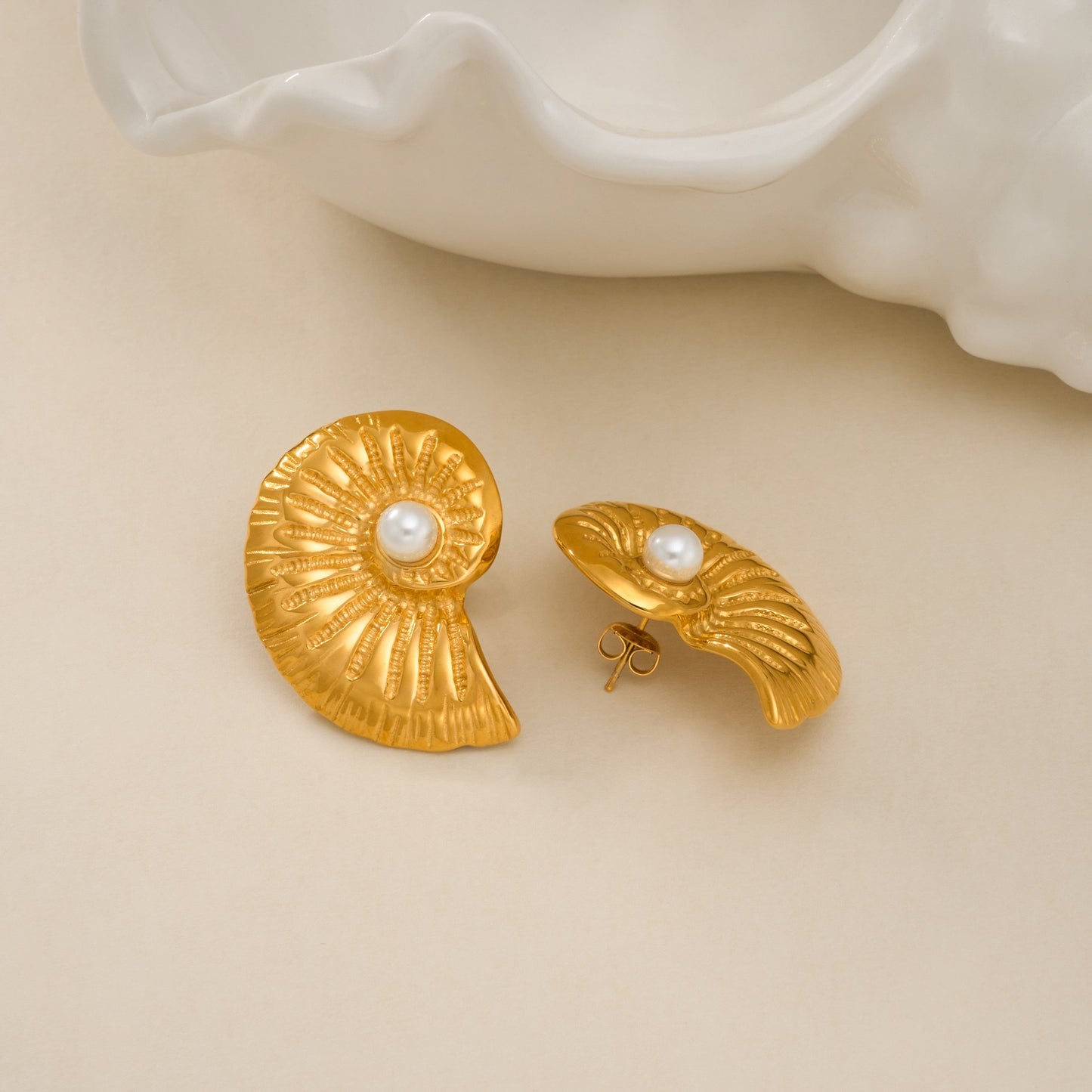 Big sea swirl shell earrings