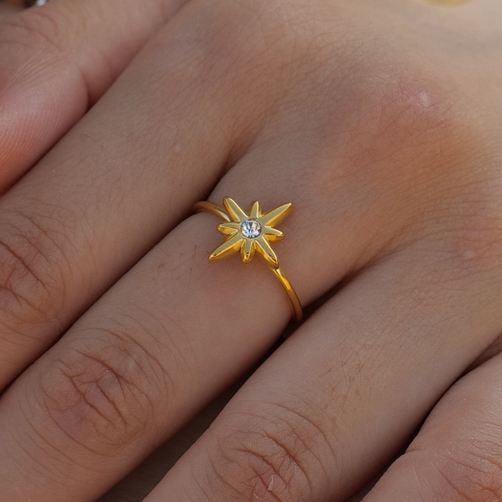 Arion Polaris ring