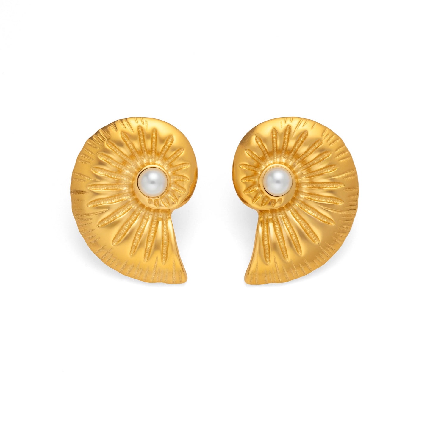 Big sea swirl shell earrings