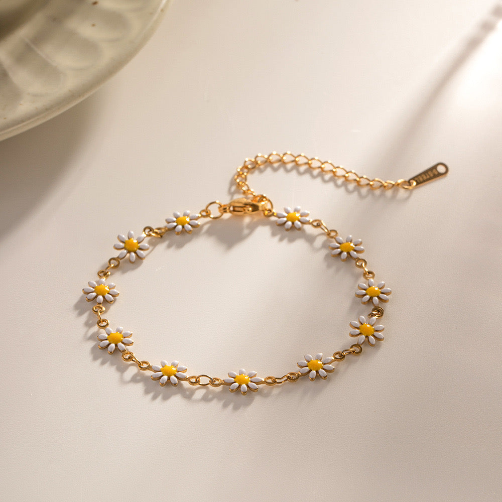 Darien Daisy collections