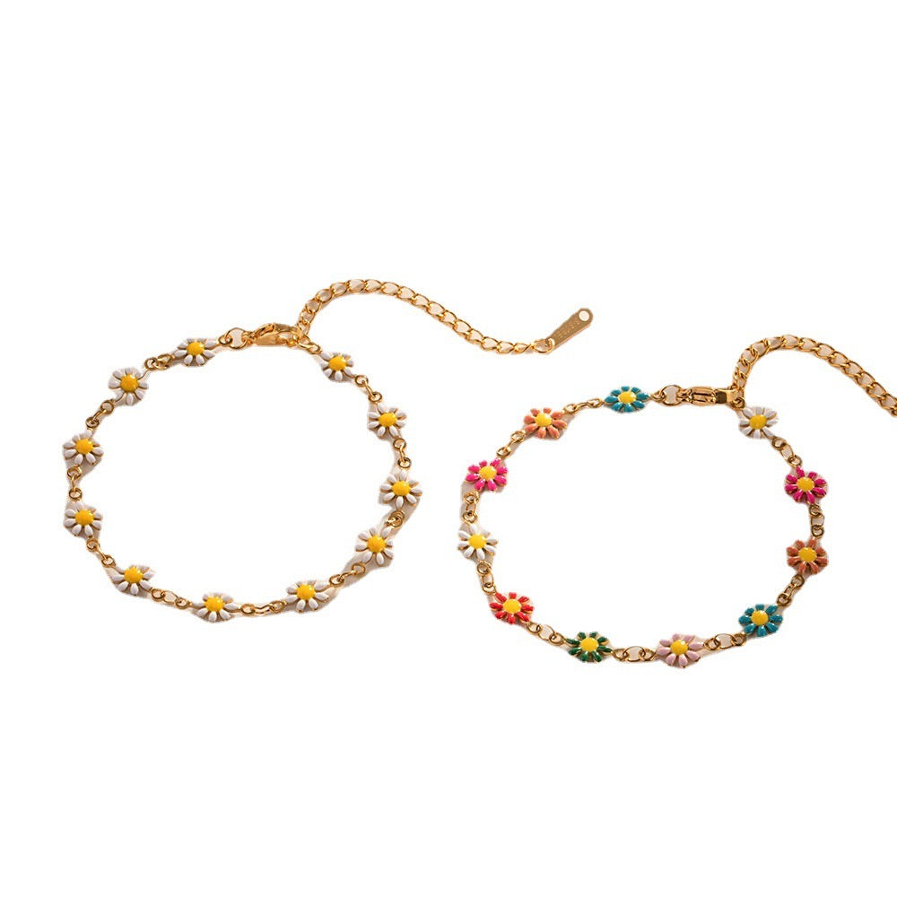 Darien Daisy collections