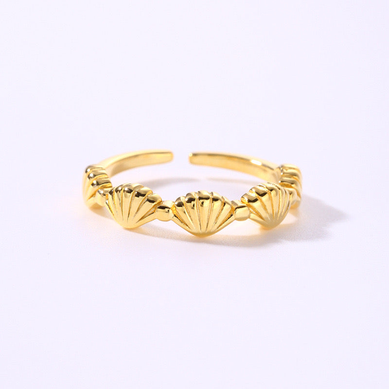 Evory Sea shell rings