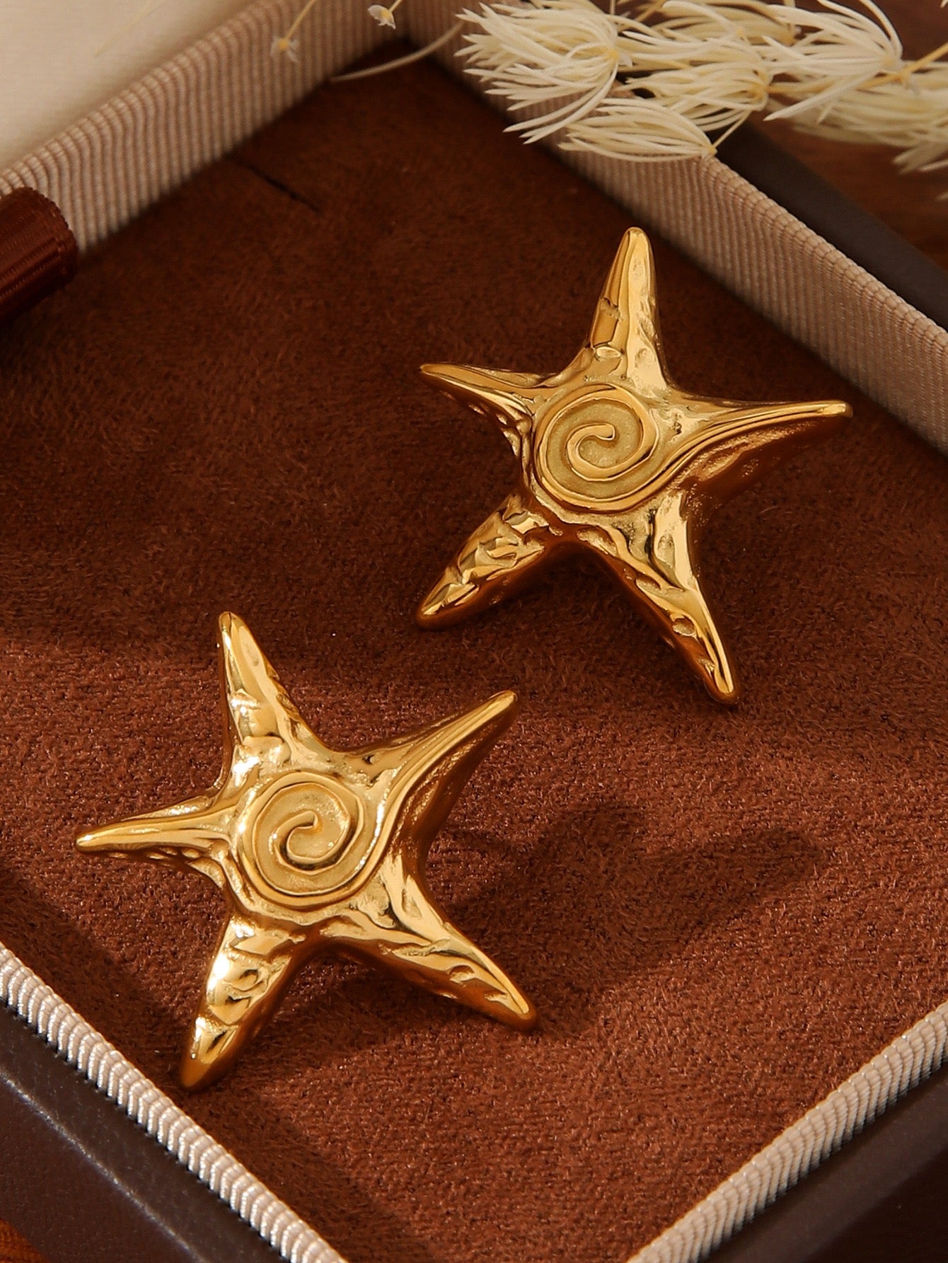 Bondi minina sea star collection