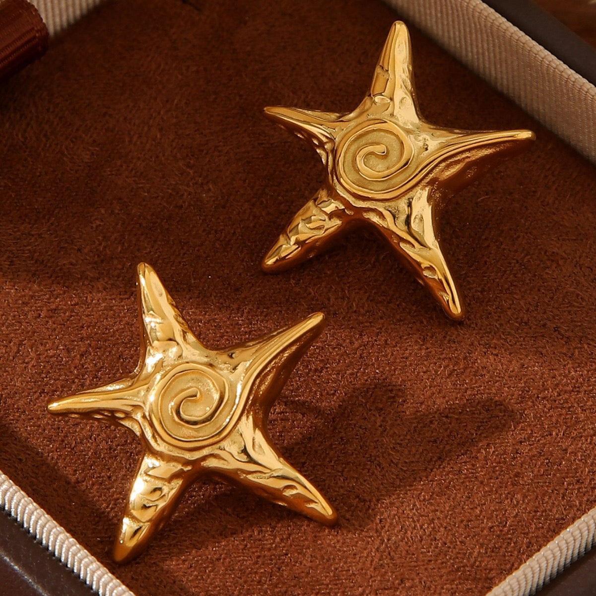 Bondi minina sea star collection