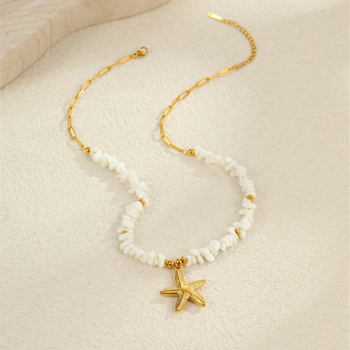 White shell starfish set