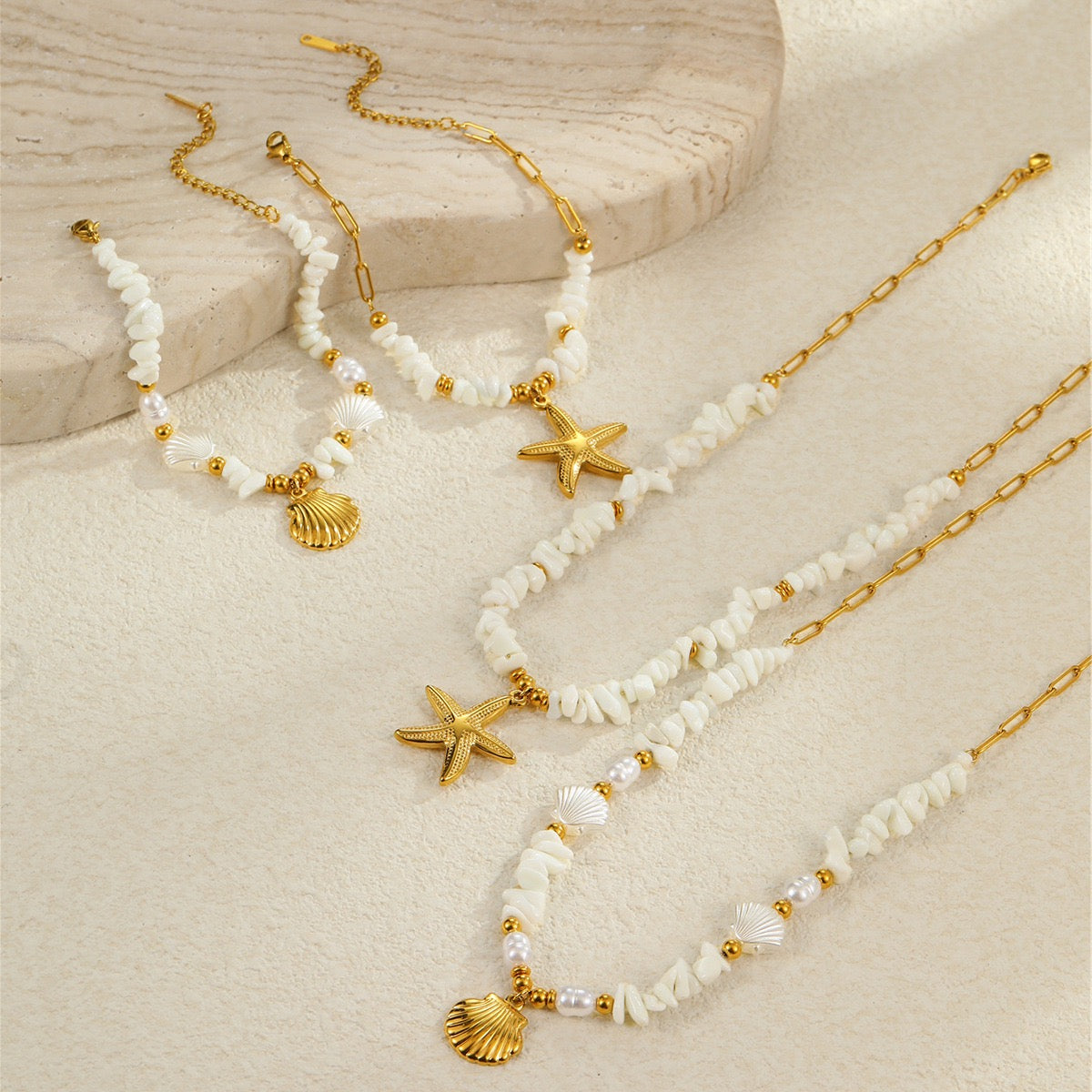 White shell starfish set