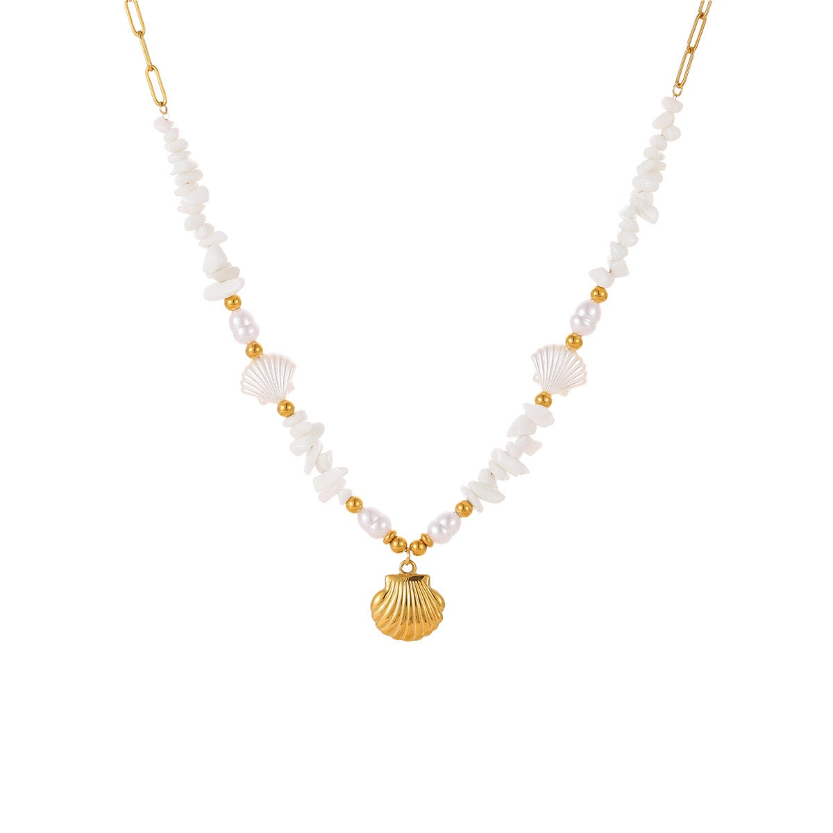 White shell starfish set