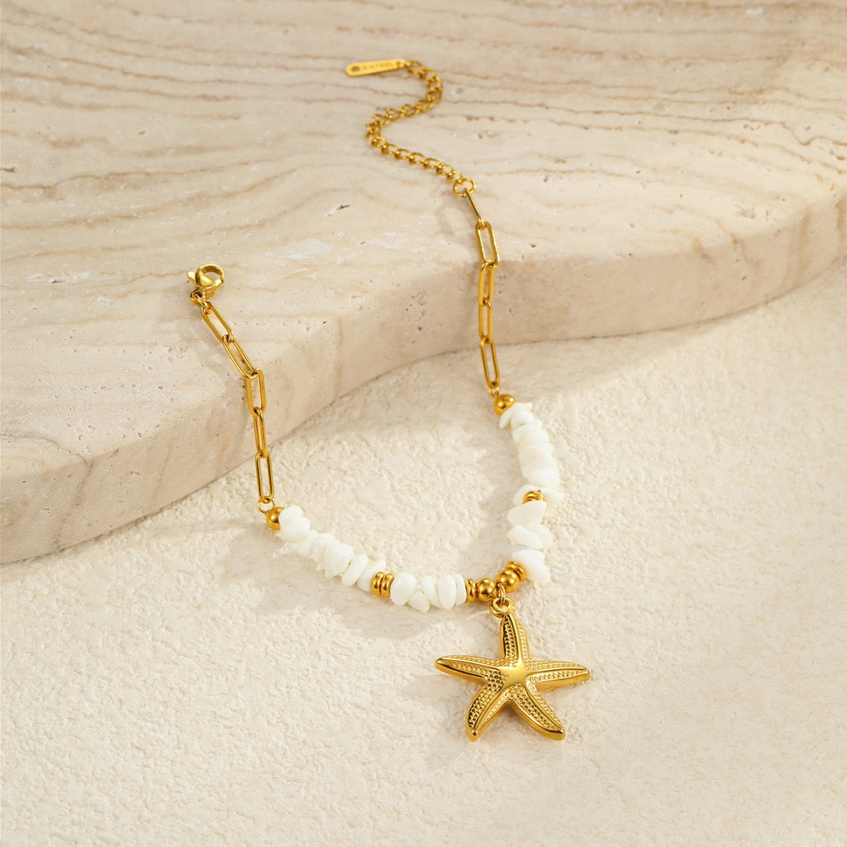 White shell starfish set