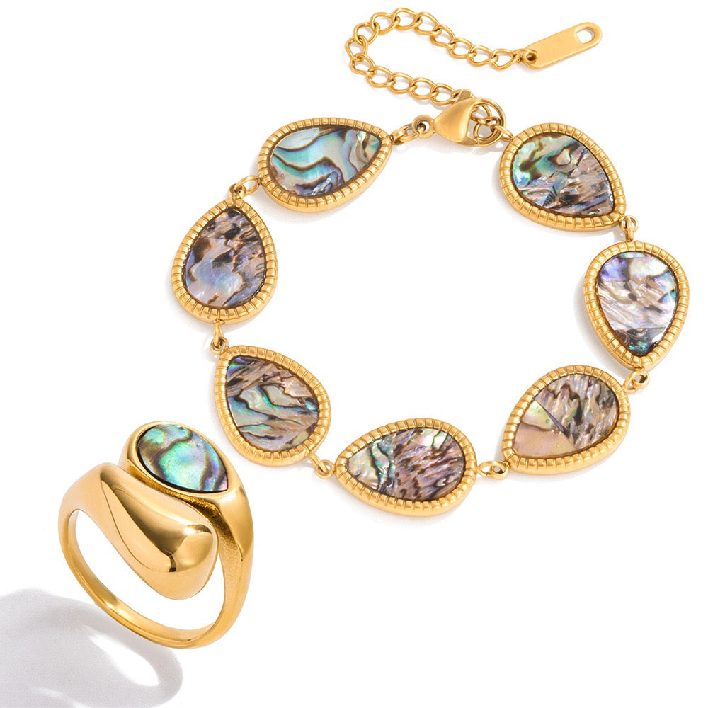 Oyster shell collection