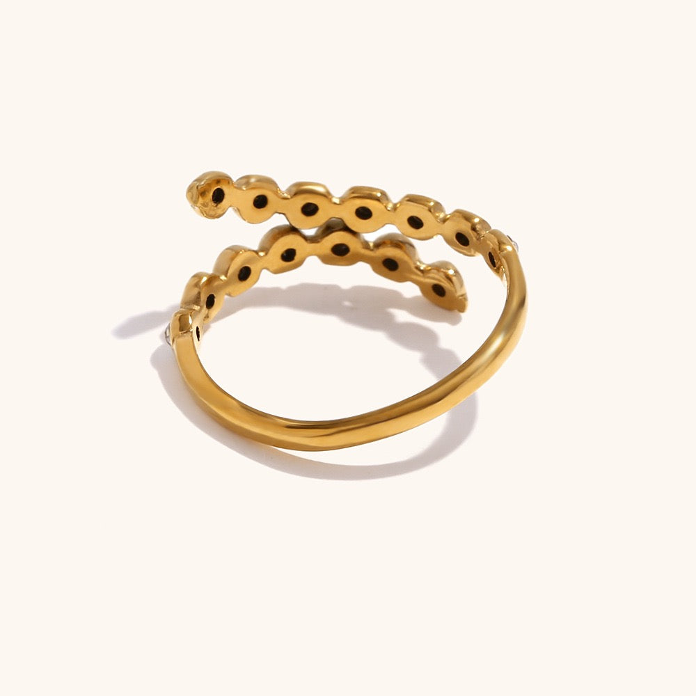 Larsonia Rainbow sky rings