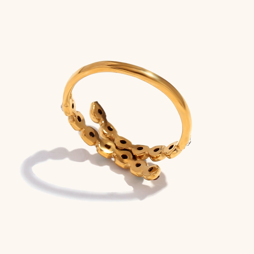 Larsonia Rainbow sky rings