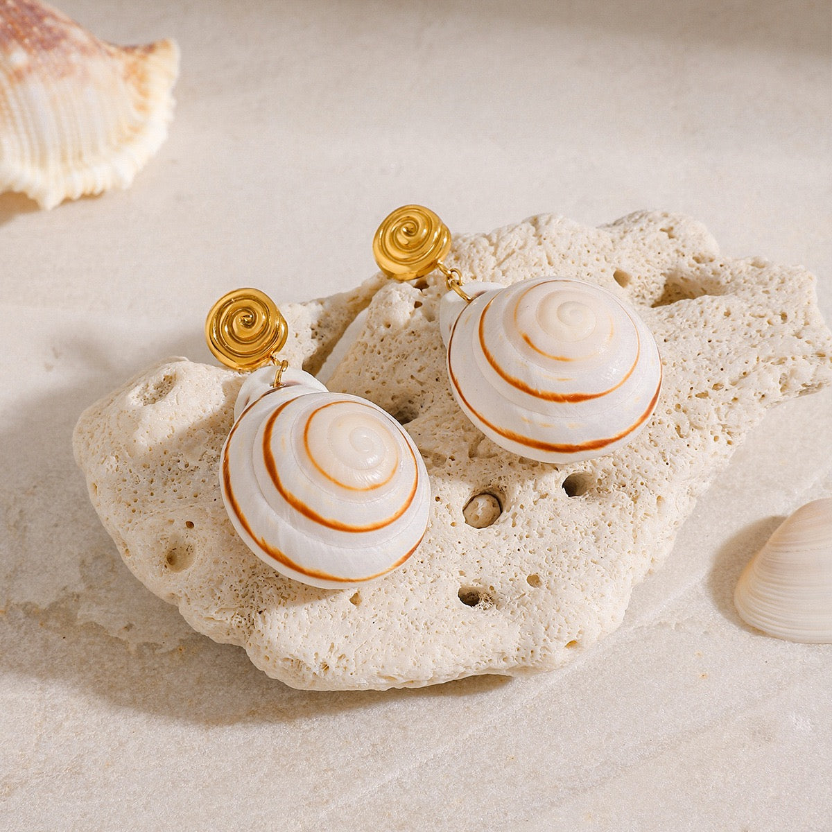 Natural shell earrings