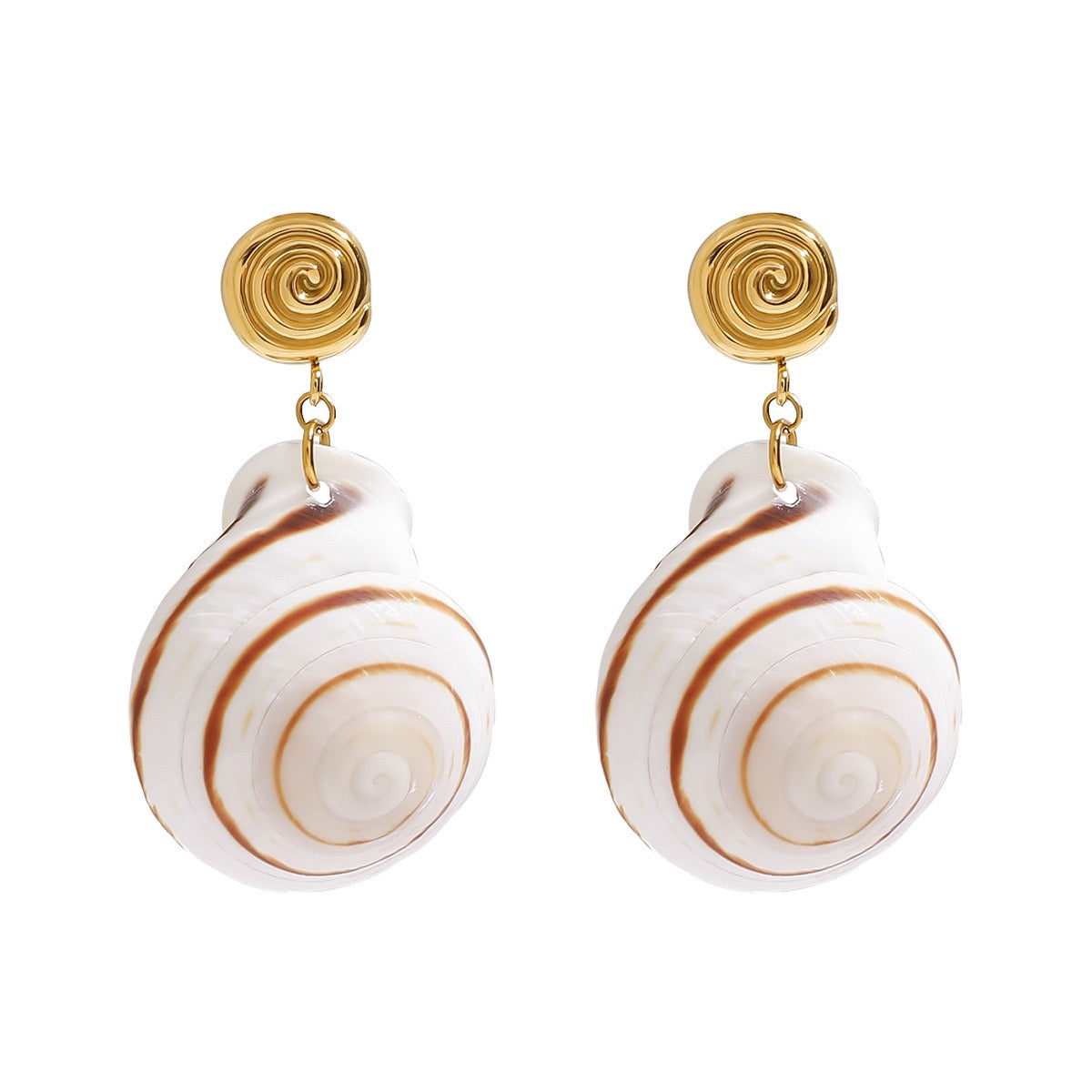 Natural shell earrings