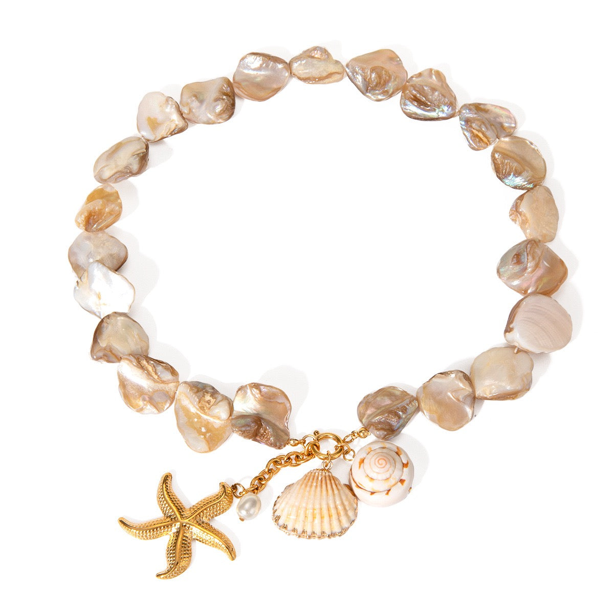 Natural shell starfish set